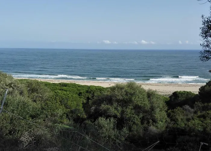 Nyaraló Bianca Kunstmann Orosei